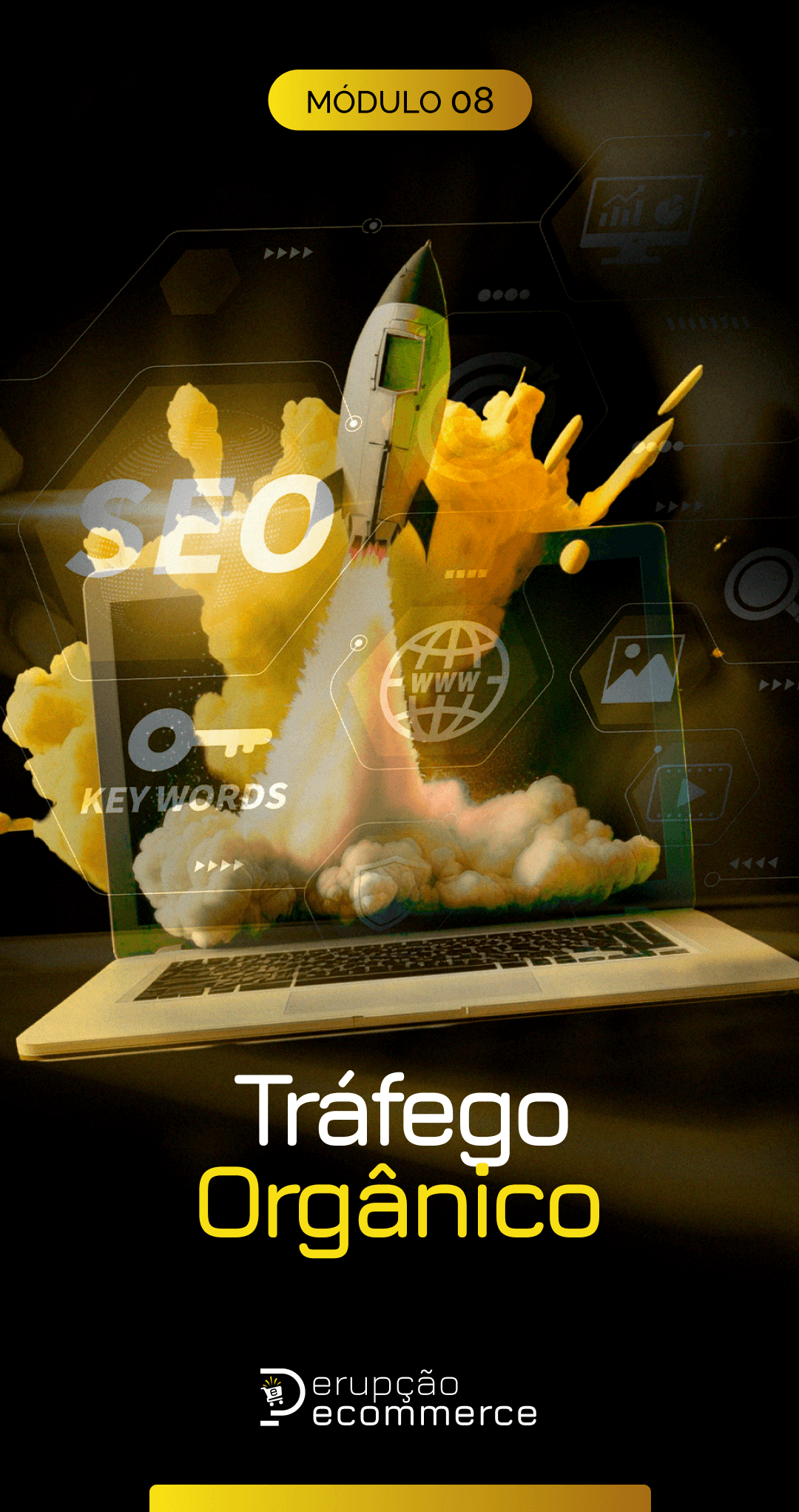 Módulo 08 - Trafego organico